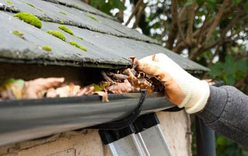 gutter cleaning Eastwick